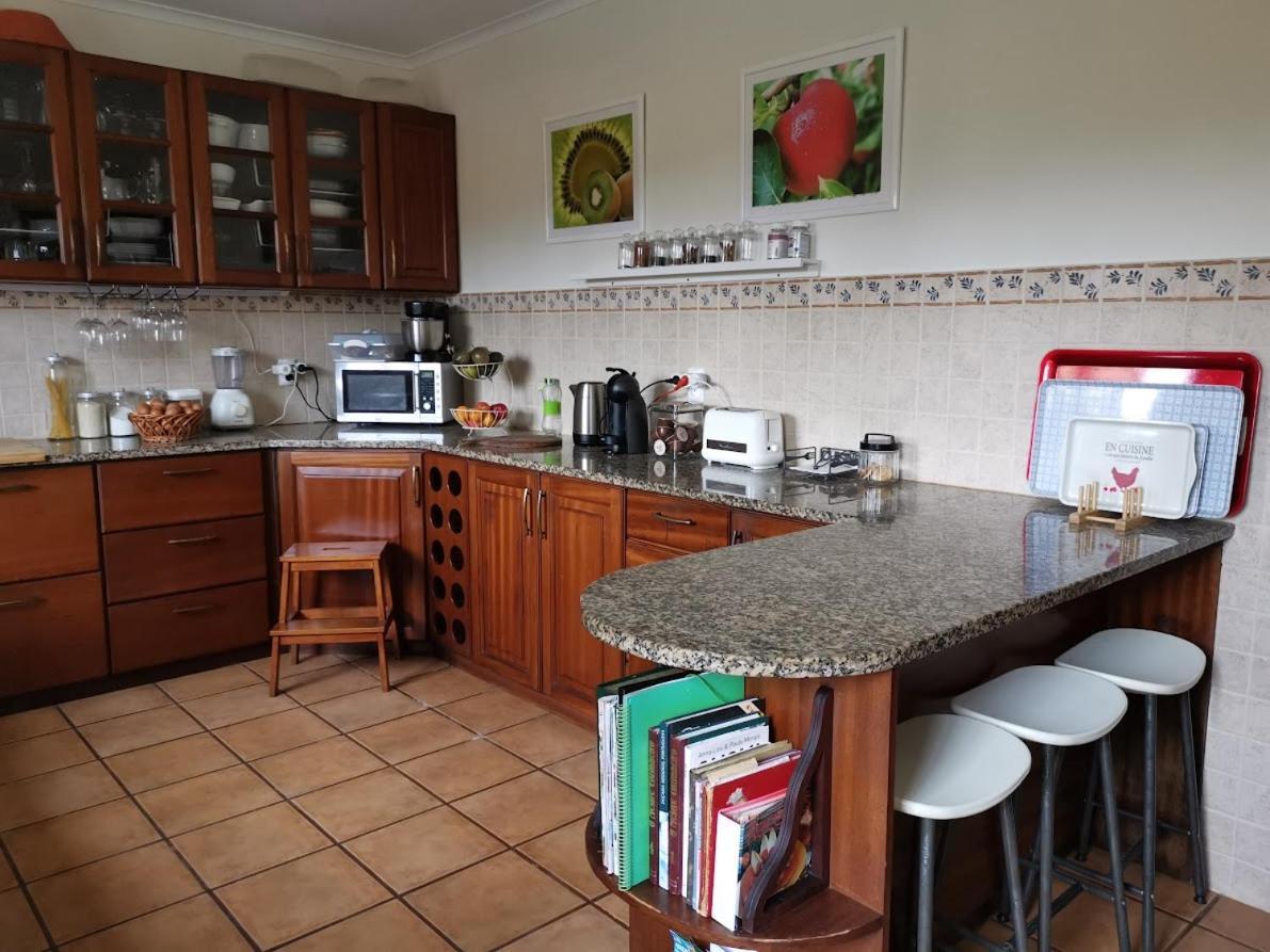 Casa Das Palmeiras São Vicente Ferreira المظهر الخارجي الصورة
